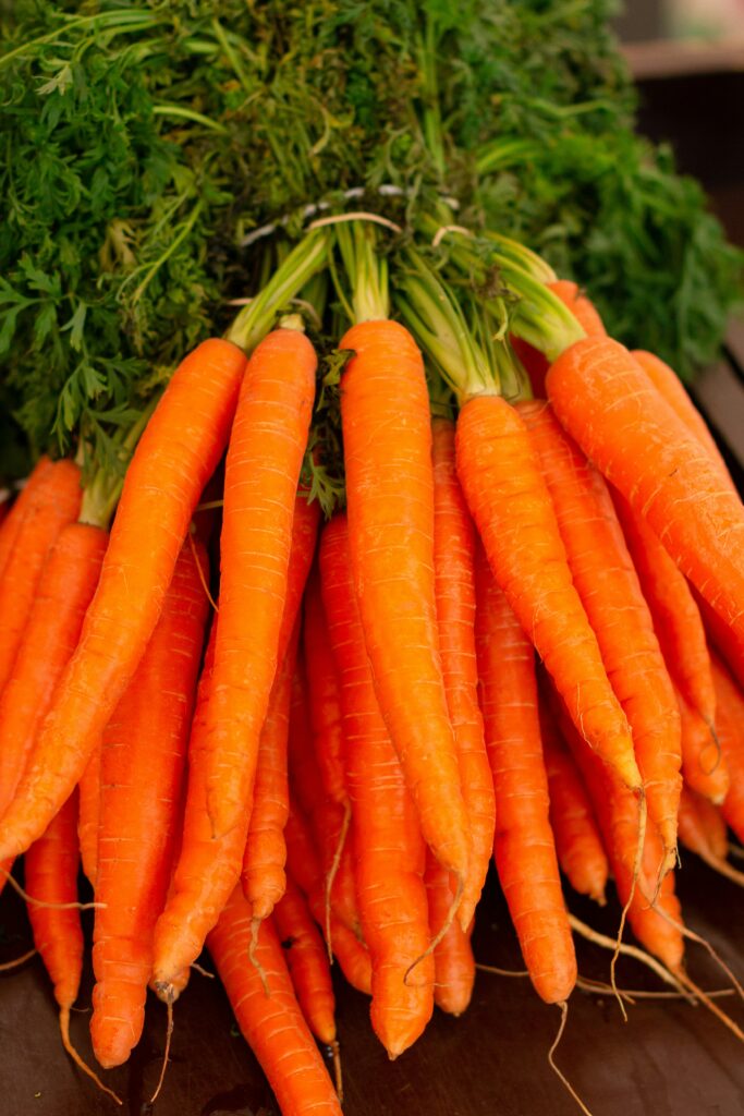 bundle of carrots